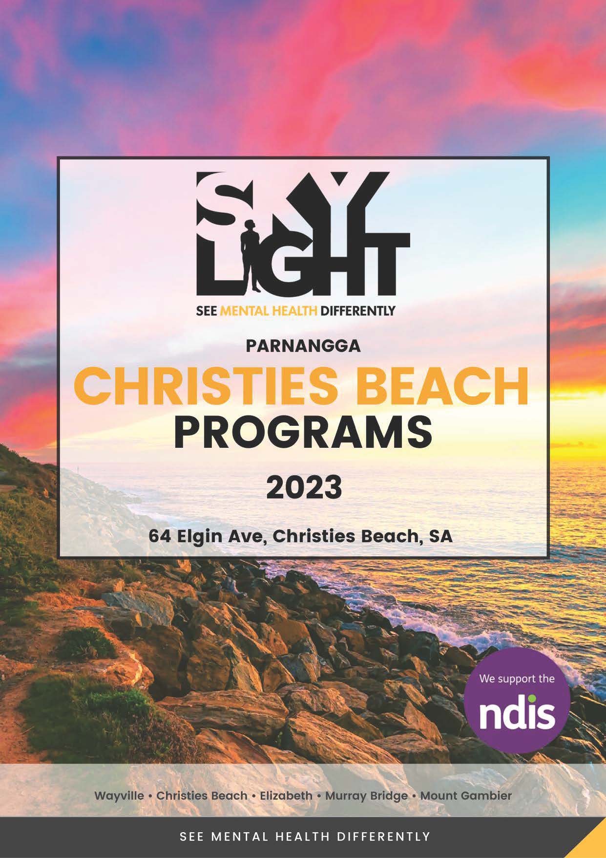 Brochures Skylight Mental Health