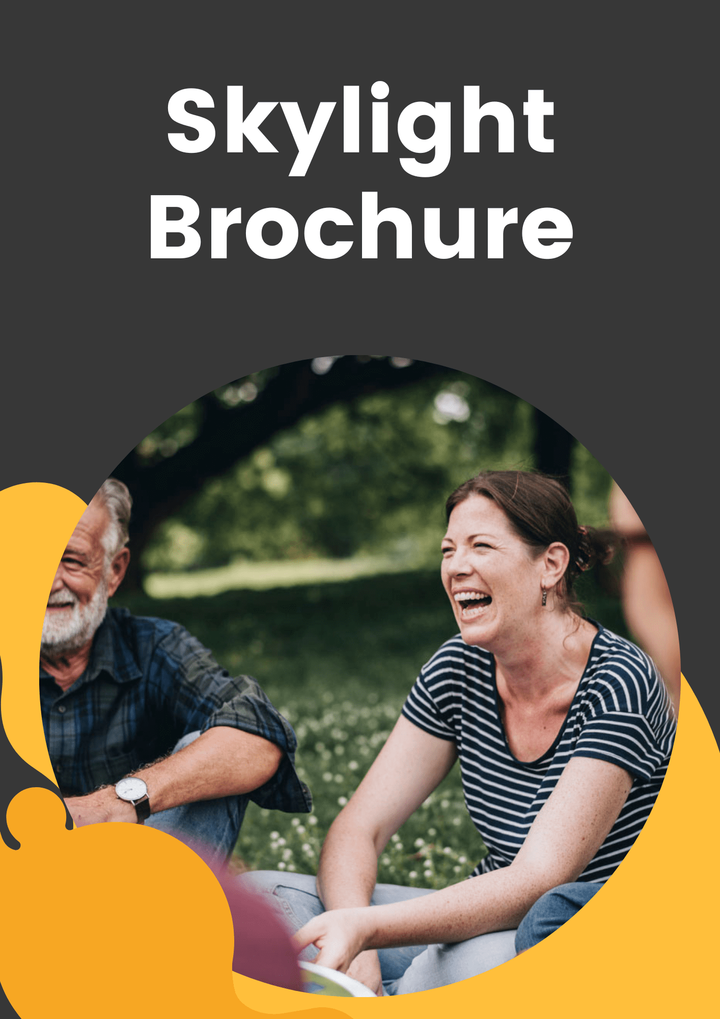 Brochures Skylight Mental Health