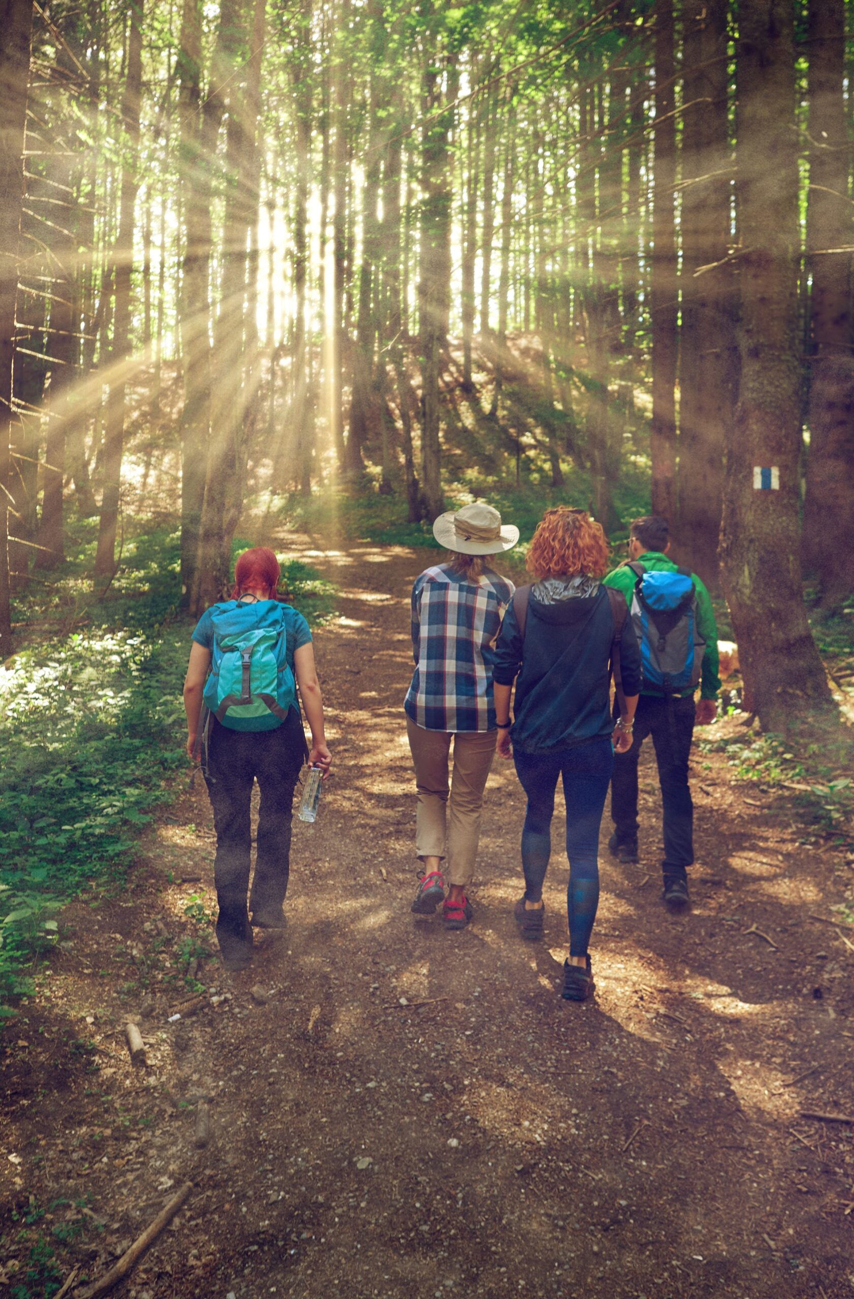 Skylight Mental Health walking group activity in nature NDIS participants enjoying a guided wellbeing walk through a forest in Adelaide